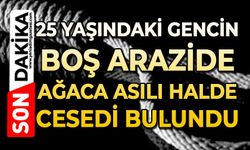 25 yaşındaki genç boş arazide ağaca asılı halde ölü bulundu