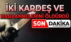 Babaanne ve iki torununu öldürdü