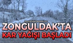 Zonguldak'ta kar yağışı başladı