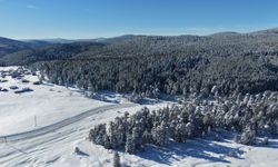 14 köyün yaylasının bir arada bulunduğu Sarıalan'da kış güzelliği