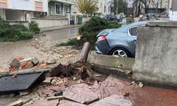 Ağaç devirdi: Yol trafiğe kapandı