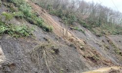 Köy yolunda tekrar heyelan meydana geldi