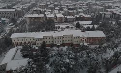 Beyaz, mavi ve yeşil birleşti: Eşsiz manzara mest etti