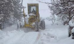 Yolu kapanan köy sayısı 115'e yükseldi