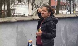 Ağaçta mahsur kalan kedi bir haftadır kurtarılmayı bekliyor