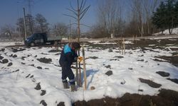 Başiskele'de yeşil alan çalışmaları devam ediyor