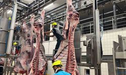 Belediye mezbahasında 6 bin 29 kesim yapıldı