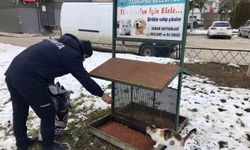 Belediye sokak hayvanlarını unutmuyor