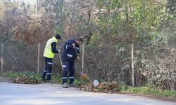 Dip bucak temizlik yapıldı