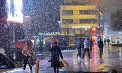 Düzce'de kar yağışı etkili oluyor