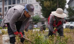 Düzce'nin park ve bahçeleri onlara emanet