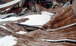 Kar birikintisi mandıra çatısını çökertti
