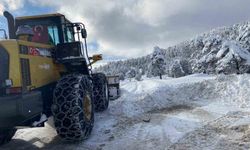 Kar sebebiyle 611 köye ulaşım sağlanamıyor