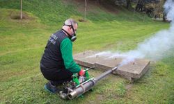 Vektörle mücadele kapsamında 24 milyon metrekare alan ilaçlandı