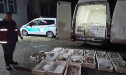 Yasa dışı avlanan 1,5 ton balığa el konuldu