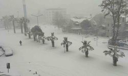 Yeni yıla karla girdi