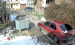 Yolda yatan köpeği ezip, yoluna devam etti