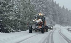 Yüksek kesimlerde kar yağışı etkili oluyor