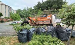 Yüzde 22 yakıt tasarrufu