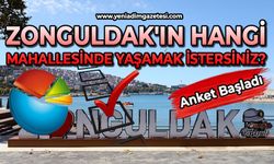 Zonguldak'ın hangi mahallesinde yaşamak istersiniz?