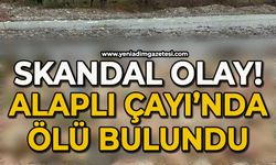 Alaplı'da çay yatağında ölüsü bulundu