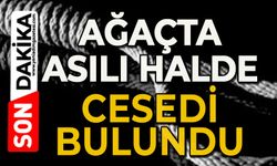 Ağaçta asılı halde ölü bulundu
