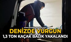 Denizde vurgun: 1,3 ton kaçak balık yakalandı