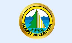 Alaplı Belediye Başkanlığı beton parke, bordür döşeme yapım işi