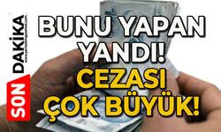 Bunu yapan yandı: Cezası çok büyük!