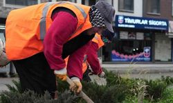 Park ve yeşil alanlarda peyzaj çalışmaları sürüyor