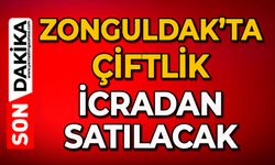 Zonguldak’ta çiftlik icradan satılacak