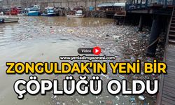 Zonguldak’ın yeni bir çöplüğü oldu