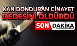 Kan donduran cinayet: Eşinin dedesini bıçaklayarak öldürdü