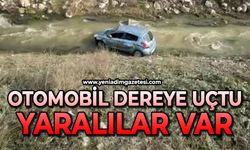 Otomobil dereye uçtu: Yaralılar var