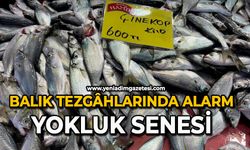 Balık tezgâhlarında alarm: Yokluk senesi