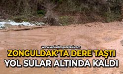 Zonguldak’ta dere taştı: Yol sular altında kaldı