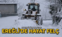 Ereğli'de hayat felç