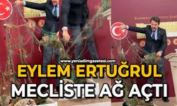 Eylem Ertuğrul Mecliste ağ açtı