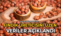 Fındık üreticisini üzen veriler açıklandı
