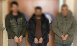 Kamyon kasasında 14 düzensiz göçmen yakalandı