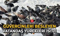 Güvercinleri besleyen vatandaş yürekleri ısıttı