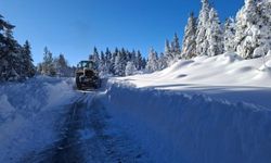 Yolu ulaşıma kapalı köy sayısı 315'e düştü