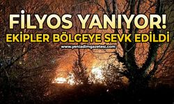 Filyos'ta büyük yangın: Ekipler bölgeye sevk edildi