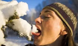 Uzmanından uyarı: 'Kar yemek sanıldığı kadar masum değil'