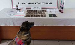 Uyuşturucu operasyonu: 1 tutuklama