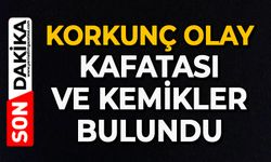 Korkunç olay: Kafatası ve kemikler bulundu