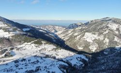 Bin 250 rakımlı Yaralıgöz Dağı'nda kar manzarası mest etti