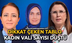 Dikkat çeken tablo: Kadın vali sayısı düştü