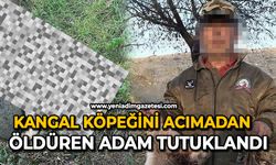 Kangal köpeğini acımadan öldüren adam tutuklandı