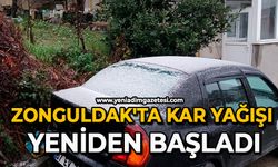 Zonguldak'ta kar yağışı yeniden başladı